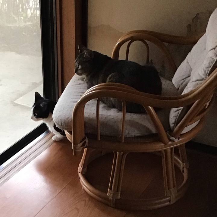 5c4ec639 d495 4399 af67 1b2e4f727c98 1758874791524