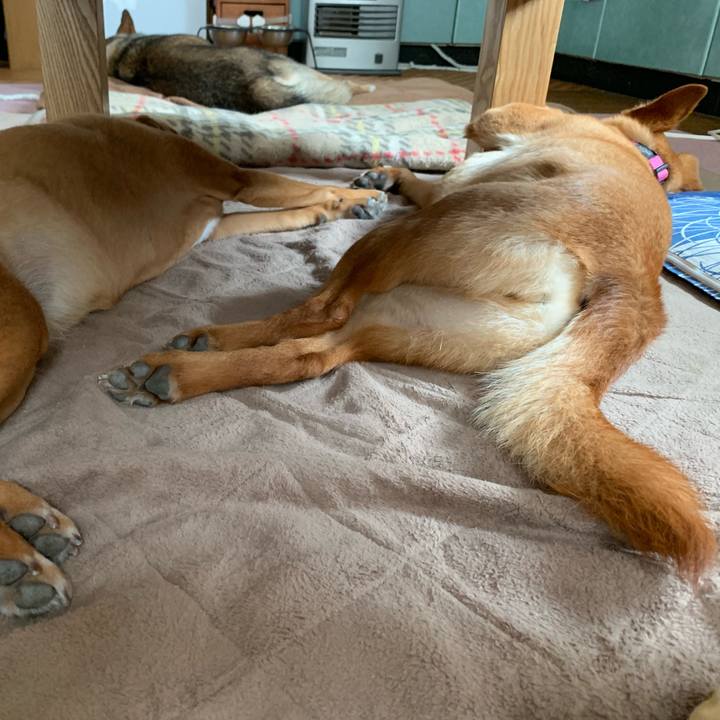 5c4ee03a a6c5 4bba a889 90e937bae9bc 1562737170701