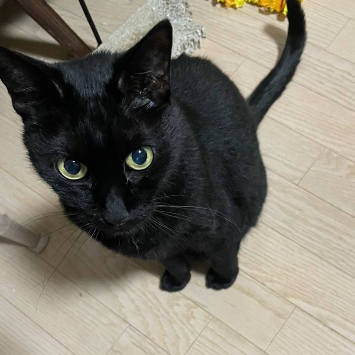 5c4ef2d0 0a94 4f80 bf94 77ba24133baa 1745497119417