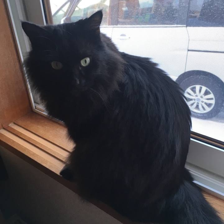 5c4ef667 bb58 4d6d b54f 82b20049ab54 1549088339794