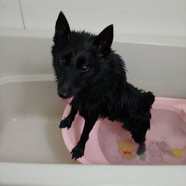 5c4f0e06 0e75 47a7 9bff 91f2daf9450e 1651989669911