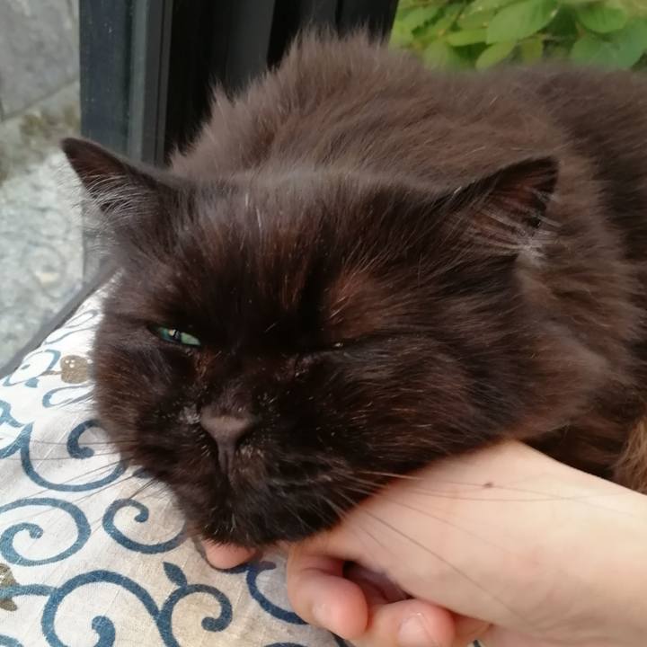 5c4f1ee9 9fd1 470a 8651 b1f4b8bf25d9 1528895940663