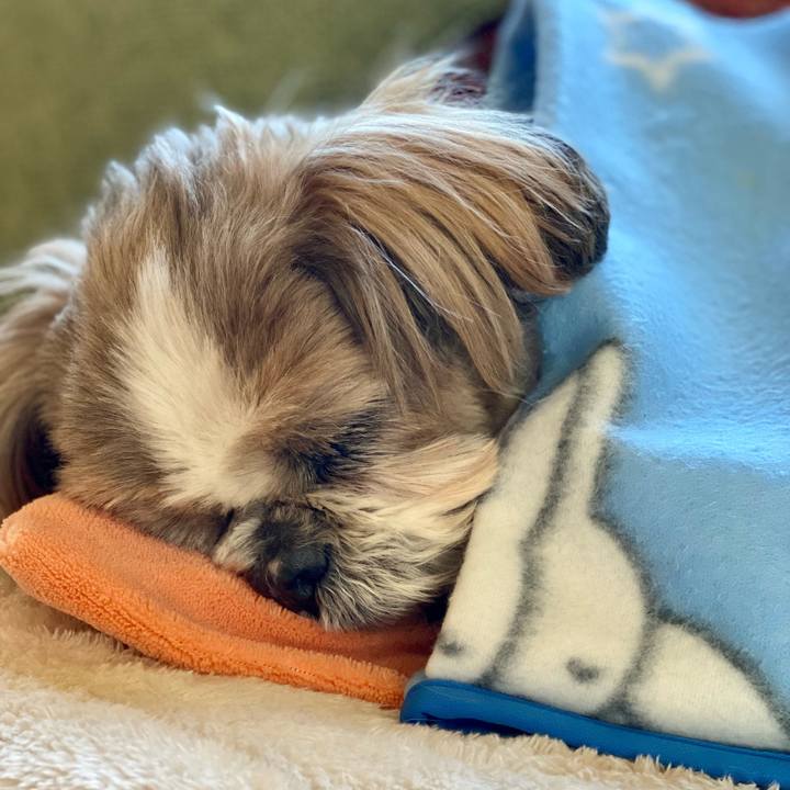 5c4fb258 64b3 41ef b64d 1ccb269f92db 1672546911967