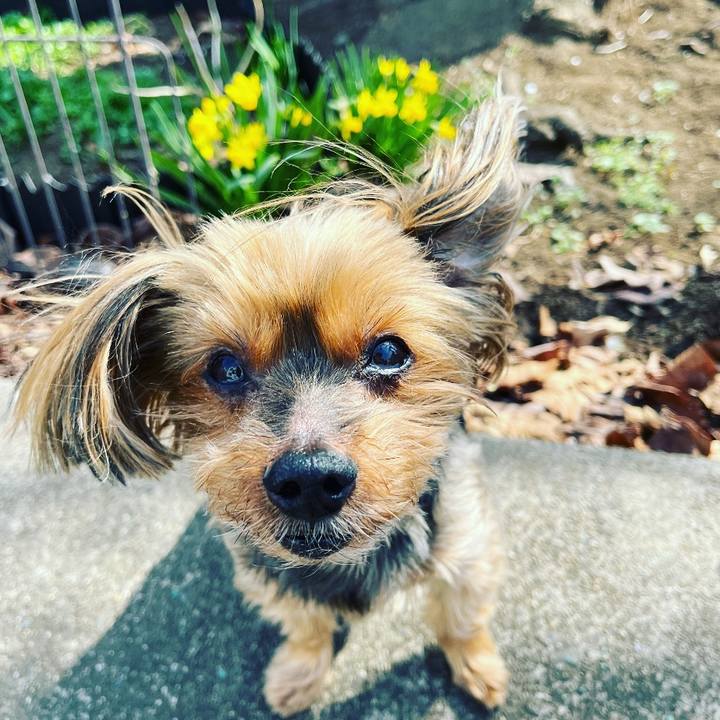 5c4fc627 8867 4215 a0e1 6517804f29f0 1678341858602