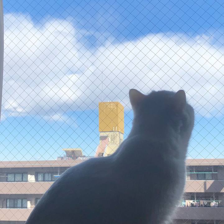 5c4fed20 745e 4699 98d7 5e9a107f2cb2 1645100402465