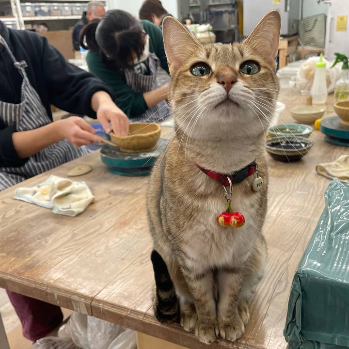 5c50591b e45b 4f43 99b0 df301c049c18 1674030104334