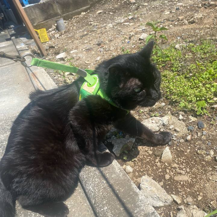 5c5077b8 a0cc 4289 b206 02a8ea2d3b10 1748752362539