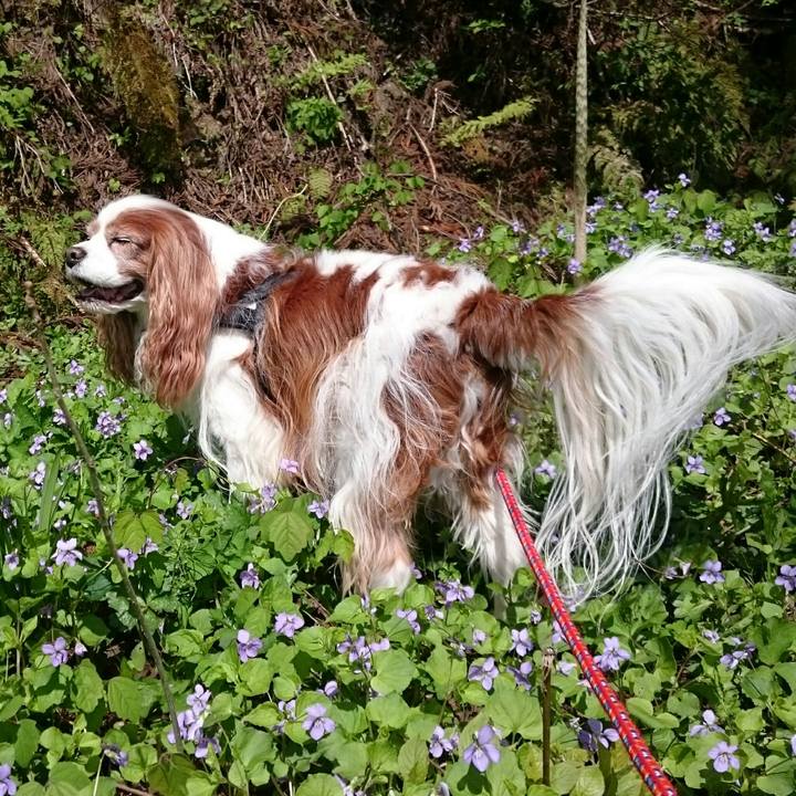 5c5120f9 ab61 447c 9702 1108745ac913 1556500349659