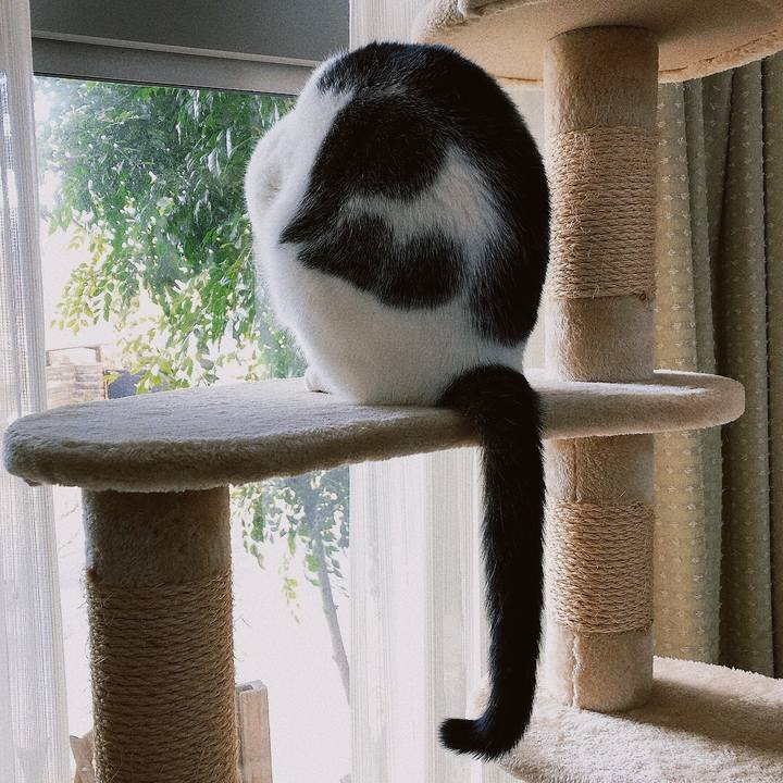 5c51426f c32c 4d8e ada3 1da19a3d5b78 1642378090411