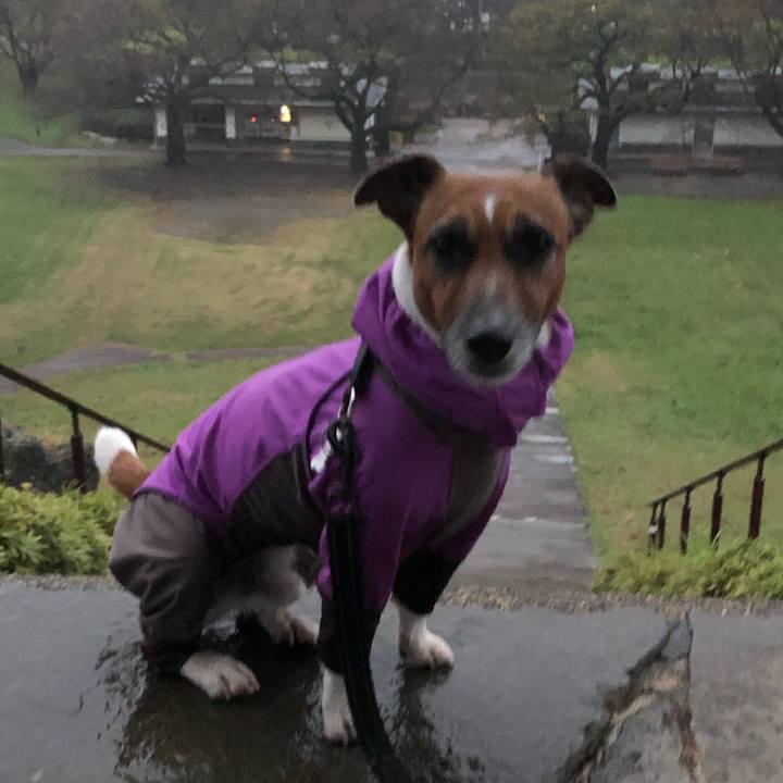 5c5194c0 510d 4308 9eb3 a27eca2b2f6b 1571352683116