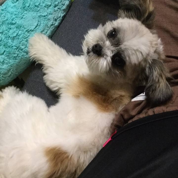 5c51aace 4021 4b6d 8bd7 f8b671101d44 1538354594663