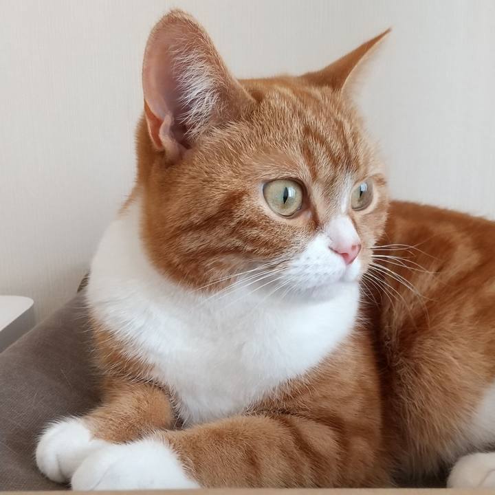 5c51c1d5 e398 48ec bef2 05be97276dbe 1653997773235