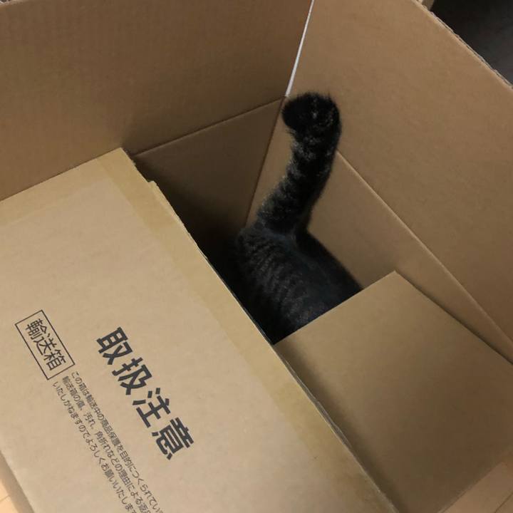 5c51ddf3 f0b7 4ccd b44d 17916876d3a8 1597501933457