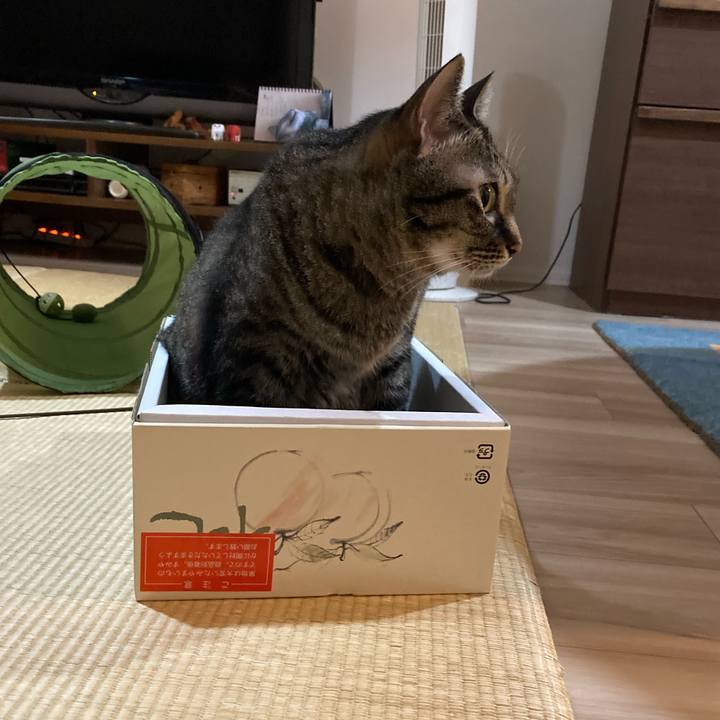 5c520661 d286 4f29 a4e4 f6a34b1af6af 1595935276199