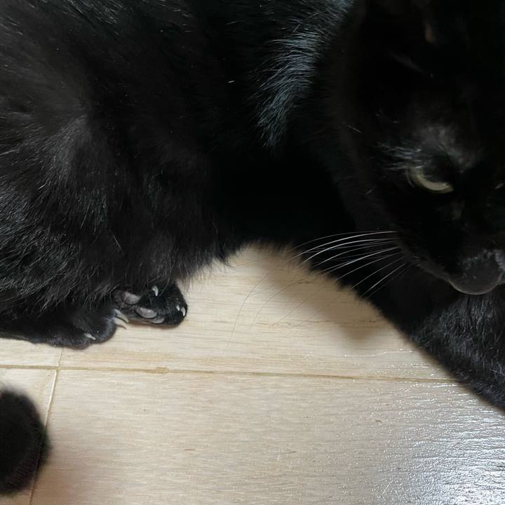 5c520b17 4139 44f4 a94a 9bbef283b9db 1765089613738