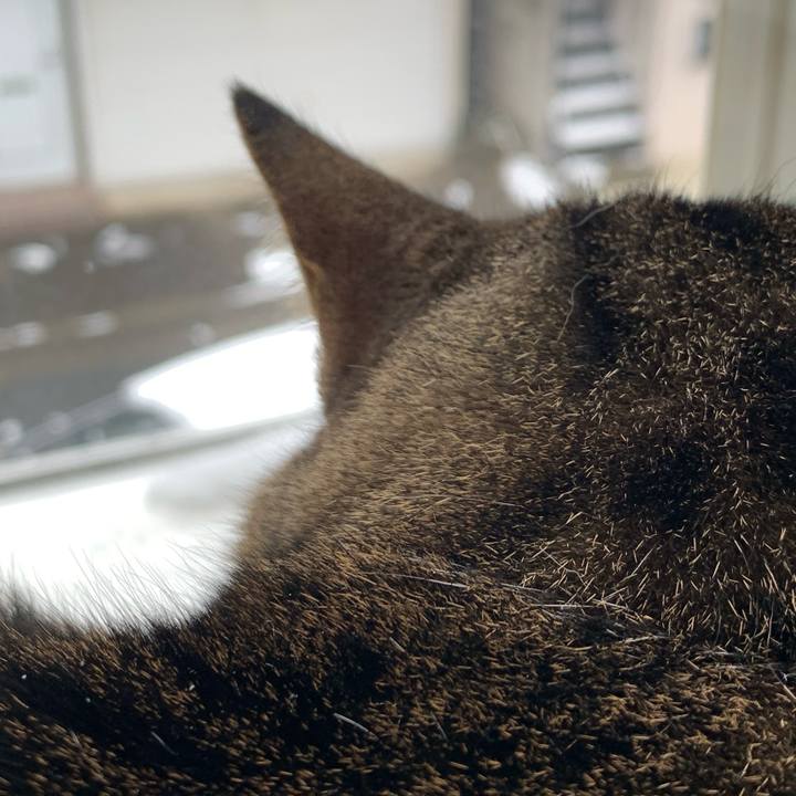 5c5233a9 6a9a 482a ada1 60a4fc953623 1770523562008