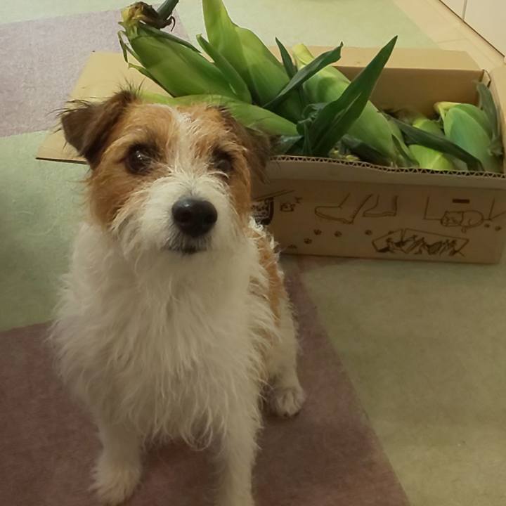 5c523e45 73f3 4b1b 85cc cf6e7c4826fc 1628996574831