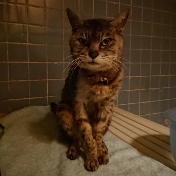 5c524688 2855 468a 9857 719b90d8b163 1597572851683