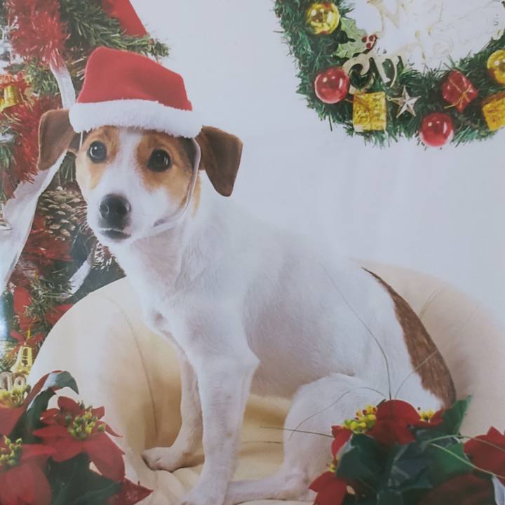 5c52cb09 0832 4c6e be37 b3dc3de9c7e8 1766572420717