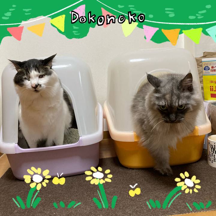 5c52deb3 247c 4453 b6ba 0ff33e07c9a8 1711578979633