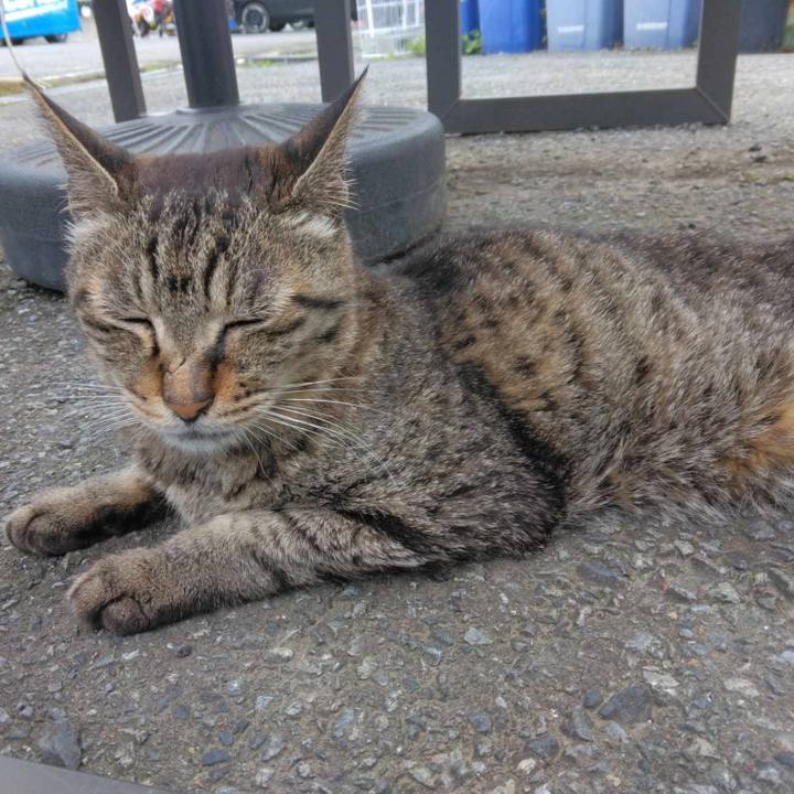 5c530176 c855 4cc7 b763 02756bc03c70 1719278660572