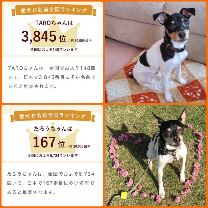 5c53161d 7272 4412 8608 919fcbed48b7 1684546429759