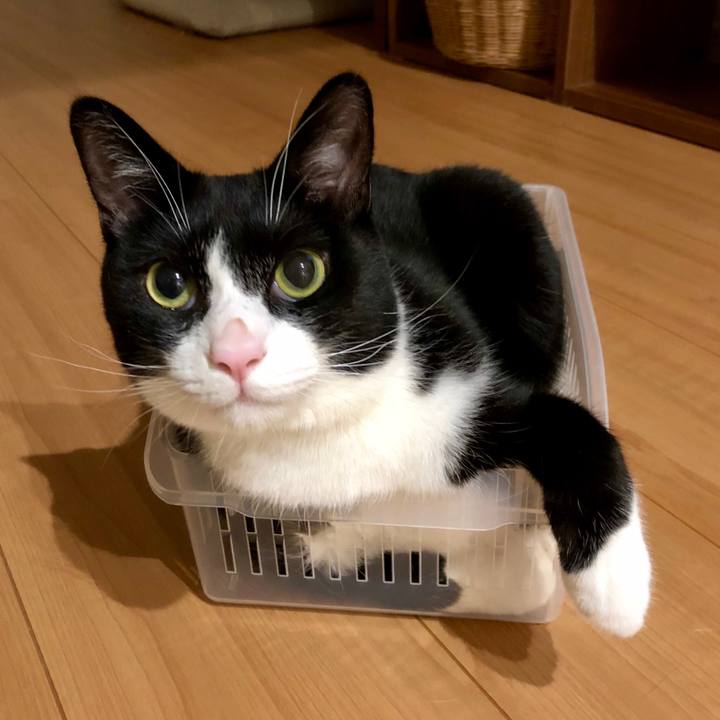 5c533d24 39a0 48b2 a6af 1dd9728adeab 1536838096871