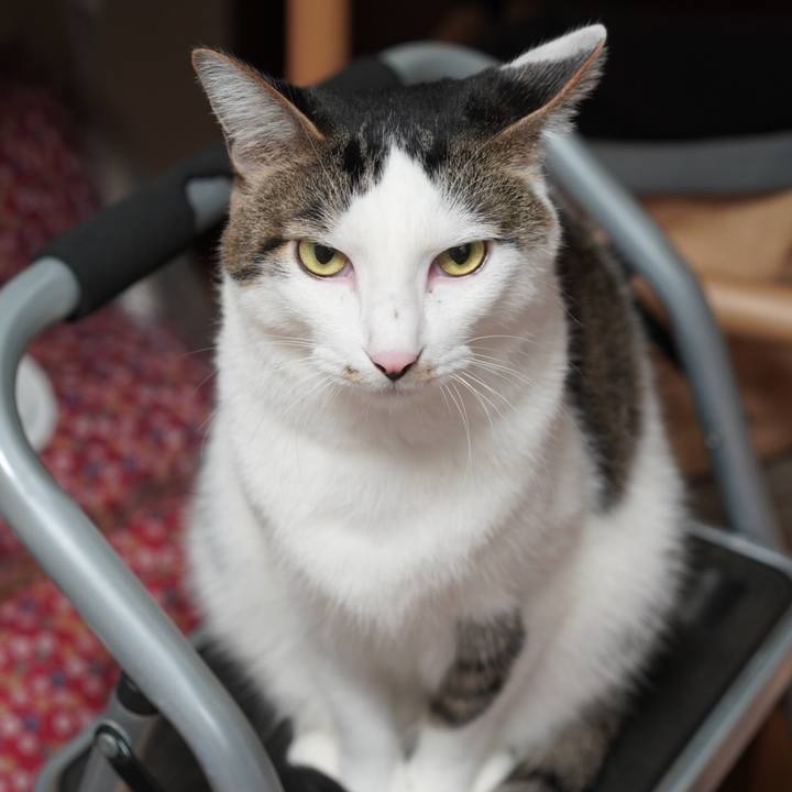 5c5373b1 86ca 4aa0 af3f 8e860f242cf0 1634739177294