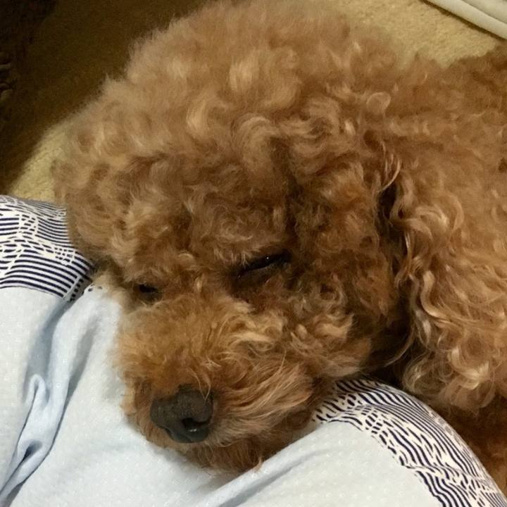 5c53cb34 5d59 4766 aae9 bfa9c6c8bf66 1536842693230