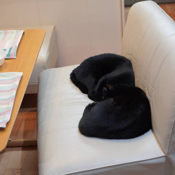 5c53e1da 2709 4ce9 a217 d0b92b4e4f3d 1629035909875