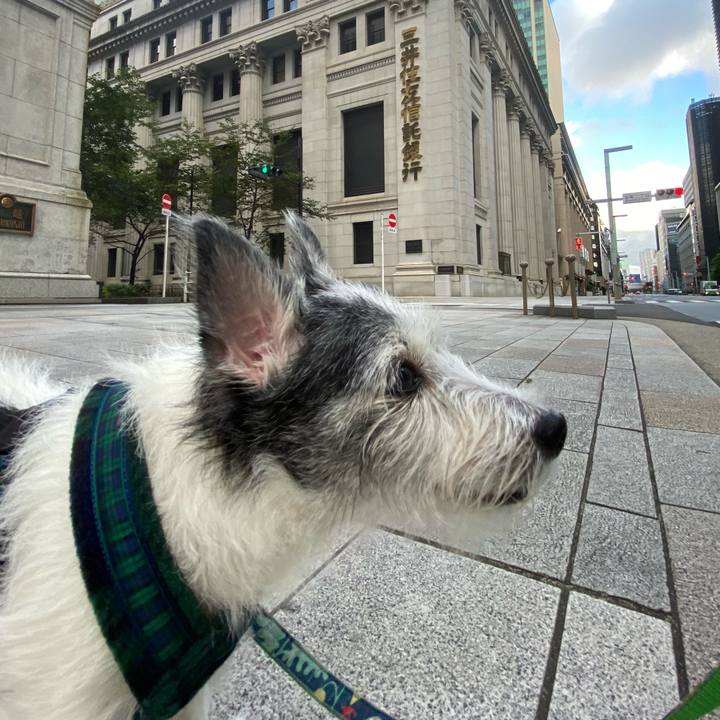 5c53e866 412a 4b85 bd32 3f1c6ff32019 1598744711251