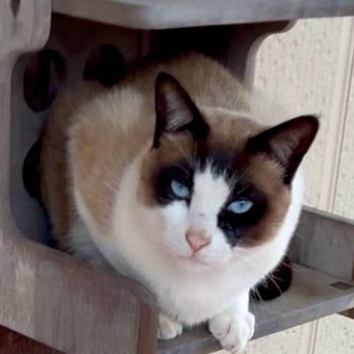 5c53e874 5e84 44a7 9583 c51046345819 1745149384375