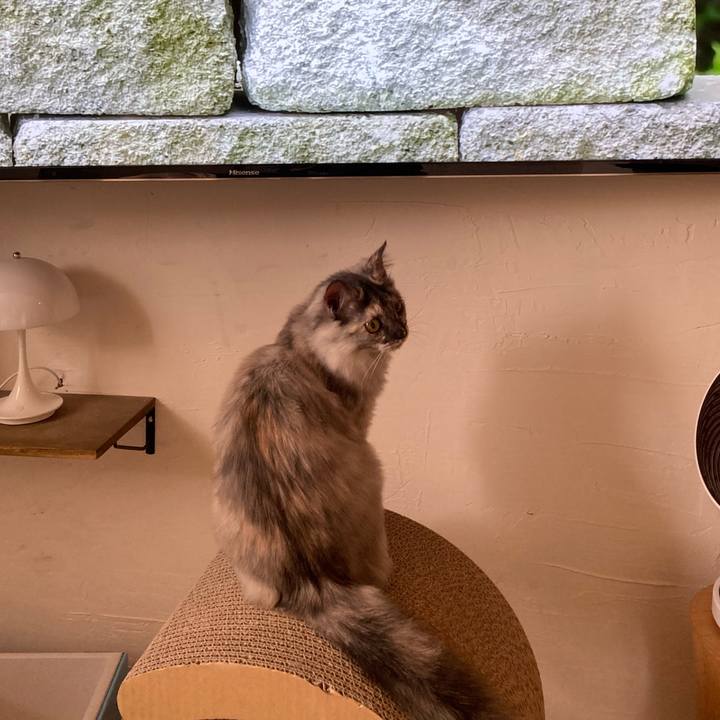 5c540c2e 51d3 4288 b946 72564de0a260 1702693184234