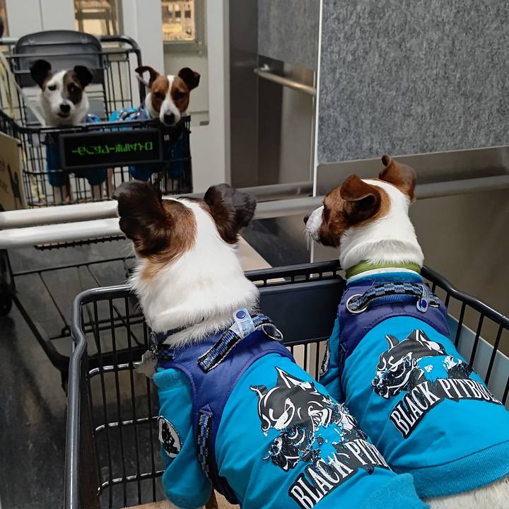 5c54709f 53a8 4844 8b2c 262152165843 1619259190016