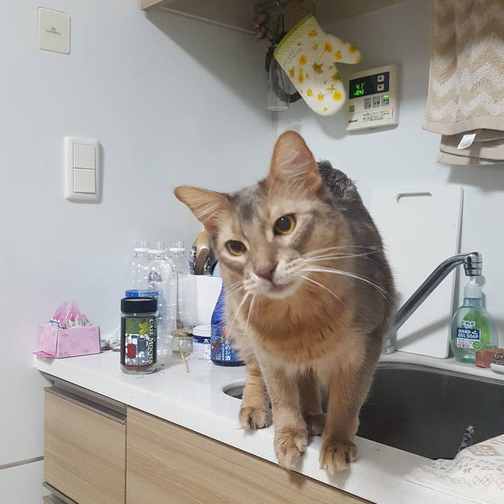 5c54719c 480f 4aeb 8c9a f6692a4f385b 1577107560438