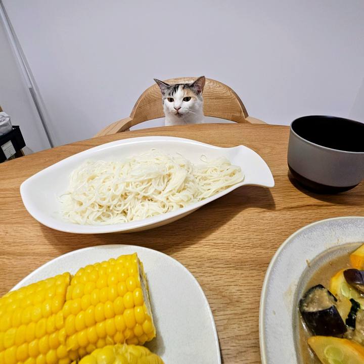 5c5482d0 6046 4645 8280 e828696a5650 1753098301328