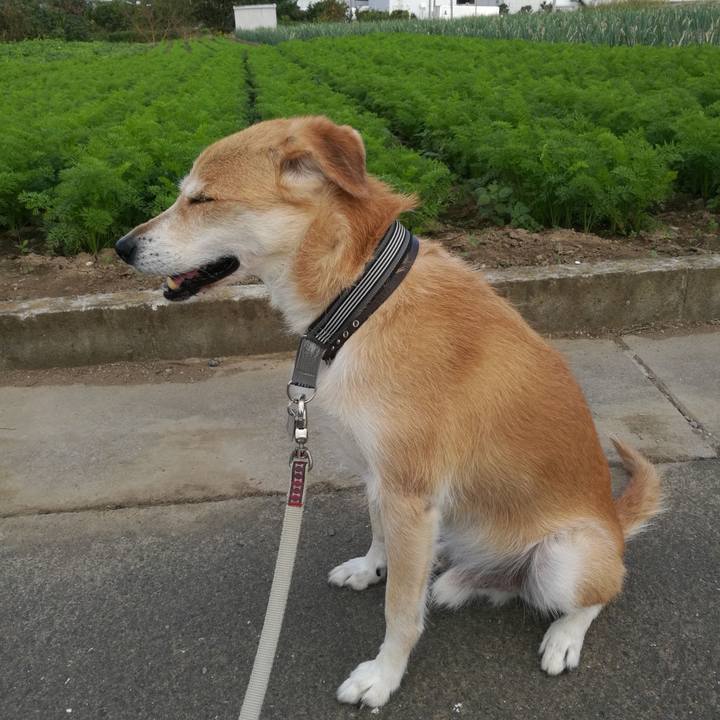 5c549f18 a279 4636 b382 407912955920 1539141070047