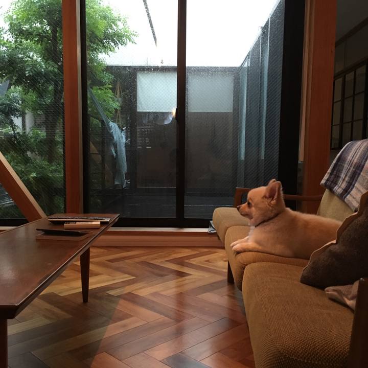 5c54a1fd ddaf 4d9b b441 1906874c85b4 1536043822135