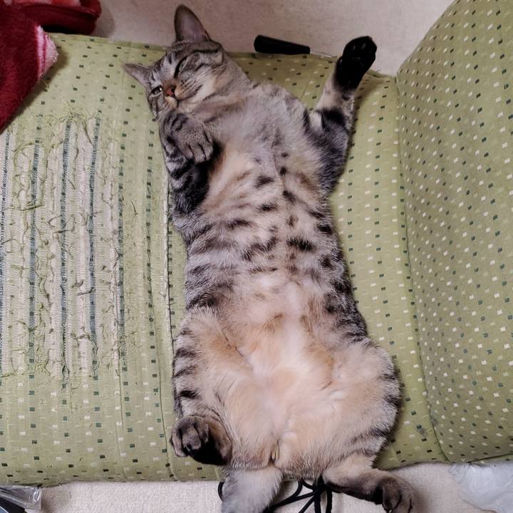 5c54a32b 182a 4032 9a01 74ff2c19a96c 1697096172739