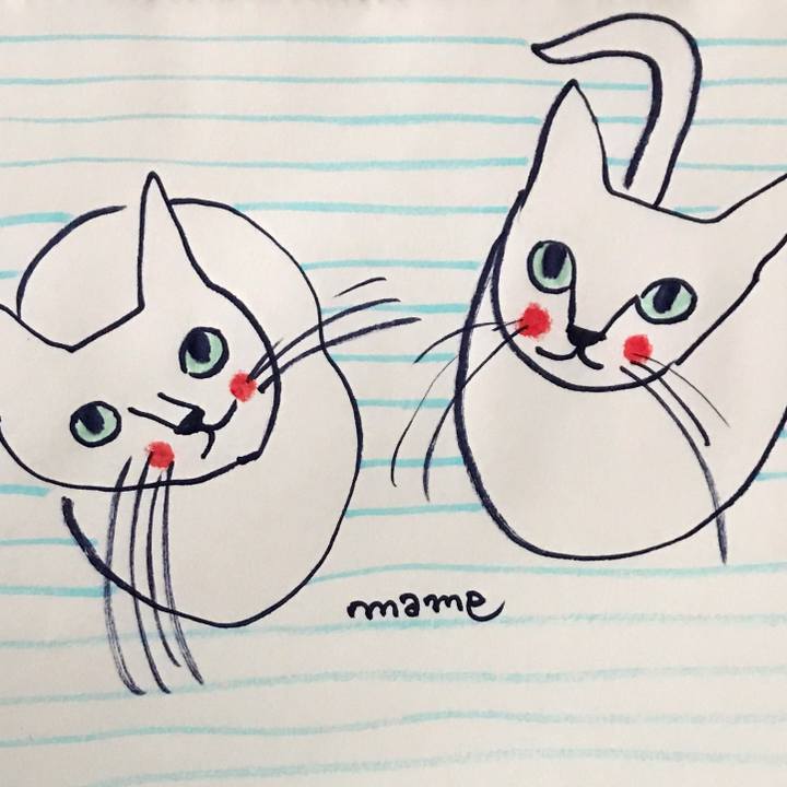 5c550477 cb18 4c2f 8479 f0f9589163f8 1561840868337