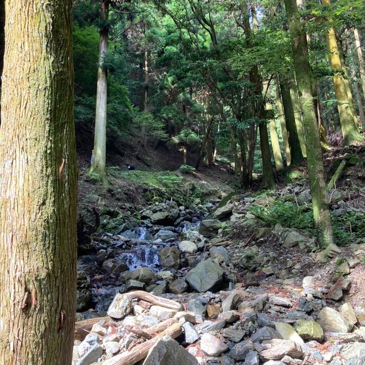 5c55189d 6ff9 4a54 9411 d9c89a39c04c 1656324670039