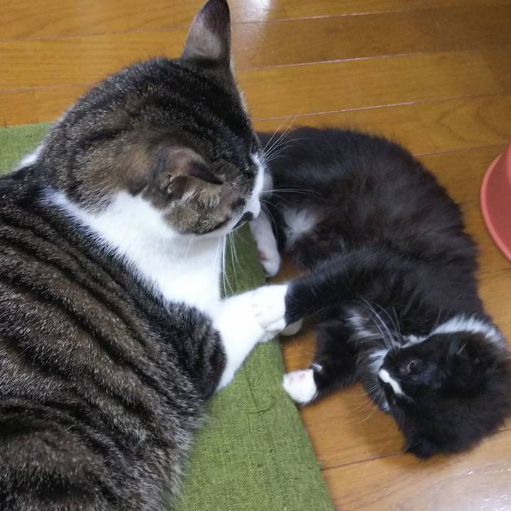 5c5518cb 9add 4fd2 88b6 28bf81f16daa 1639722410499