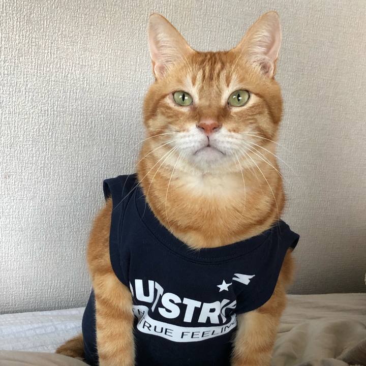 5c553388 e1c3 4b25 996c 423782598e02 1630834673889