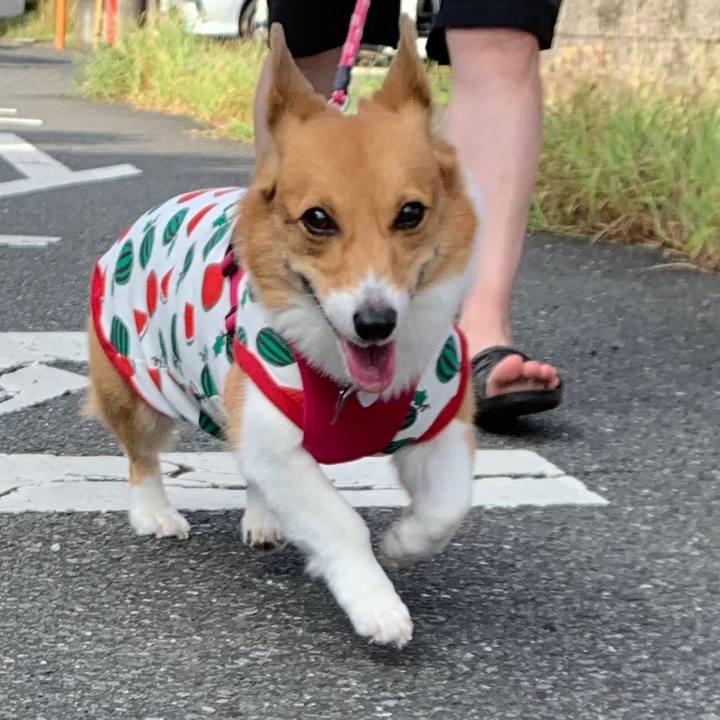 5c555090 0355 41c1 a0c3 0c81ec0b124d 1599260721209