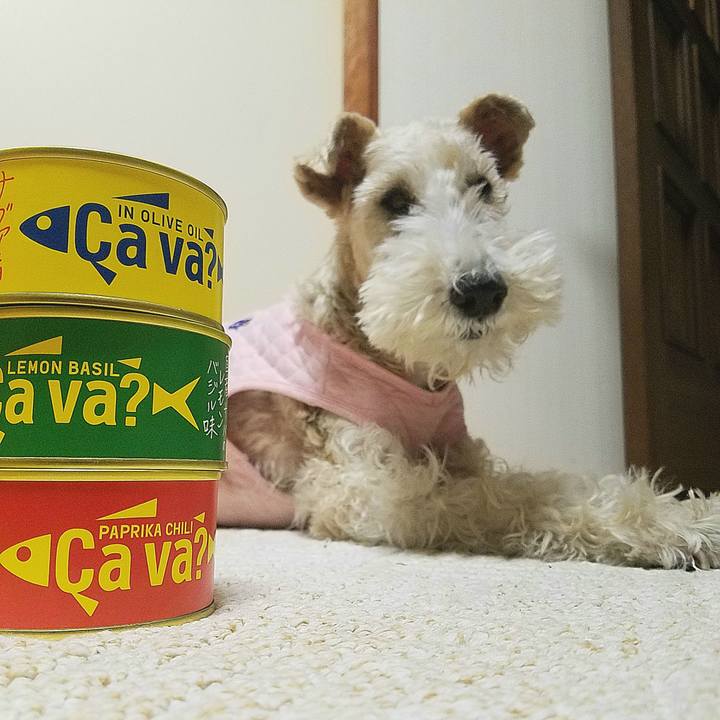 5c5593ce 5384 462e 912a 49327de1fde6 1737604213098