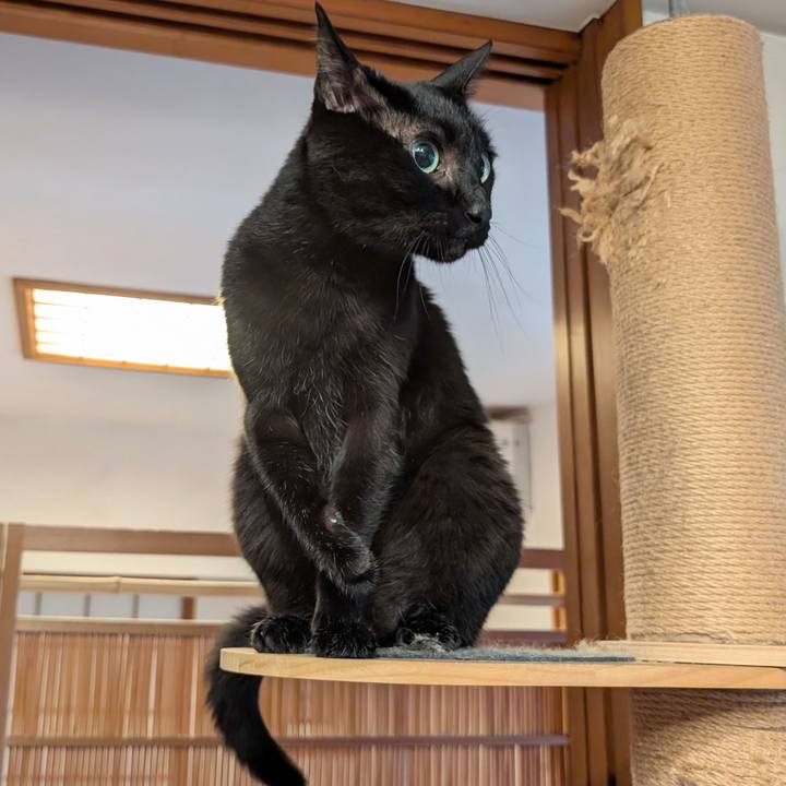 5c55cdc1 4dce 4c59 88cc a86fcb70d8d4 1772838034830