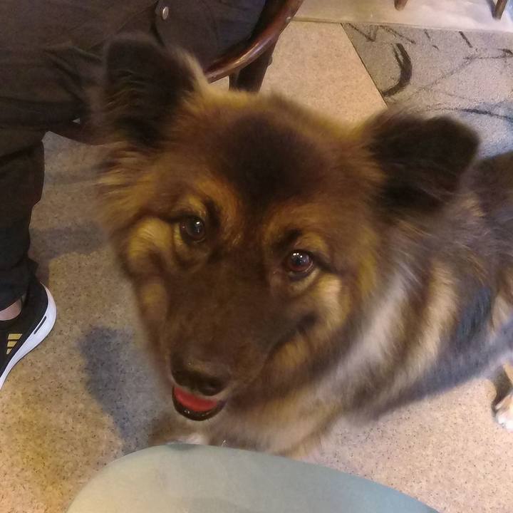 5c55ed3b 61b4 4190 8214 54c96b43f41c 1759633633254