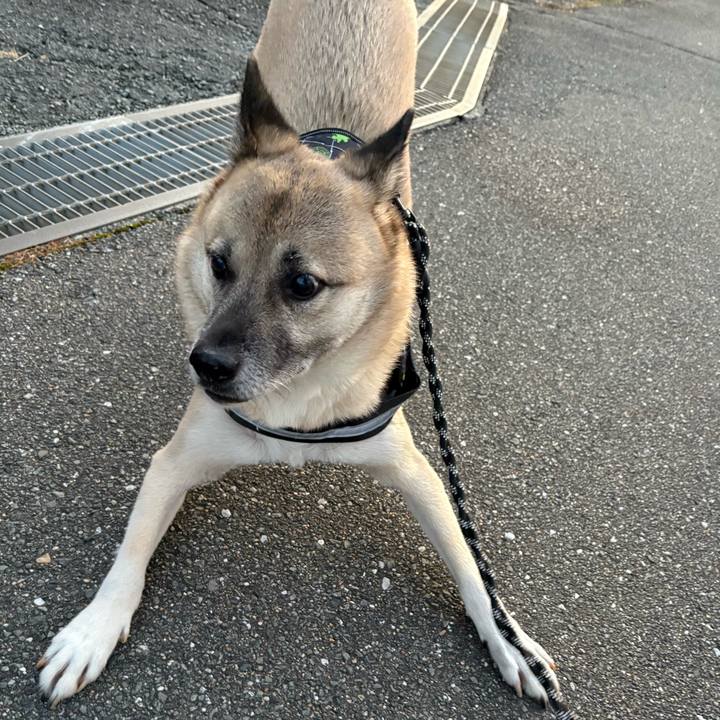 5c55f410 b3b7 4130 ba0f 57b9ab5ac772 1733919751580