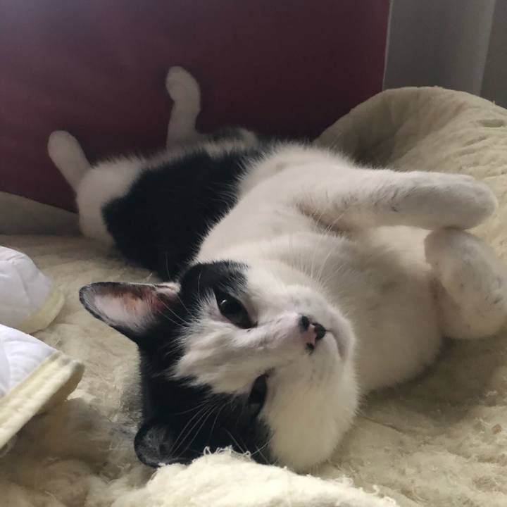 5c55f7cf 545b 4cae bec4 2b6fe8d17dcb 1613549486190