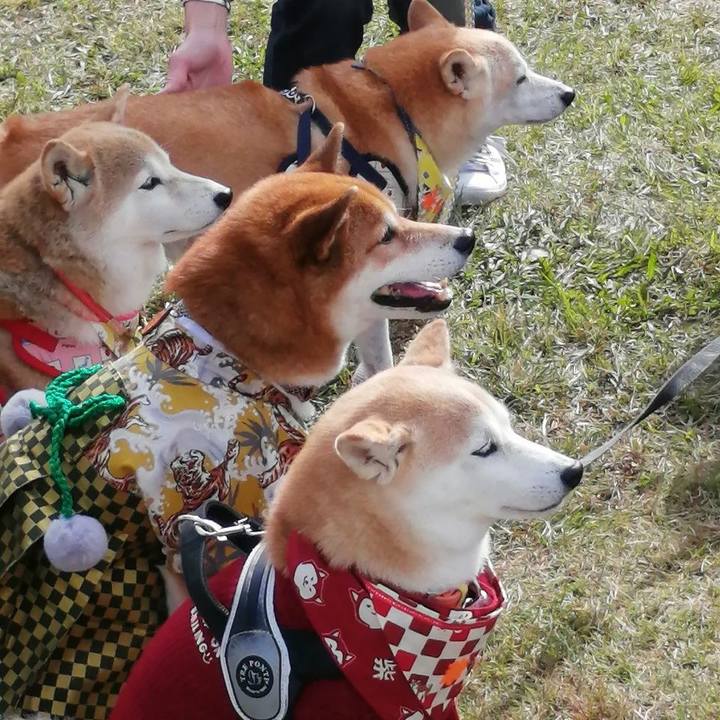 5c56342f 1987 4cb0 8ced a8854a9a9fba 1636298384341